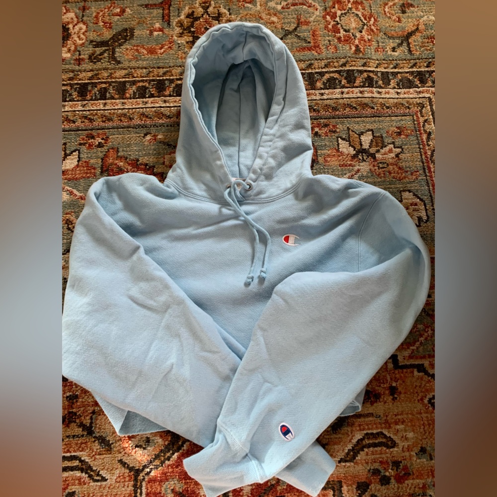 champion cropped hoodie